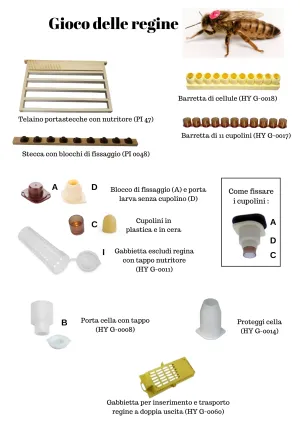 Queen's Game - G - cap for larva holder without dome