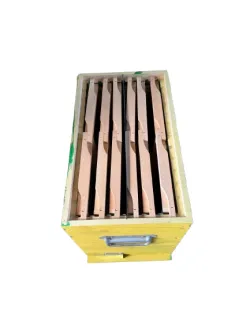 Wooden queen fertilization Beehives D.B. in WARM FAVOUR, with 2 chambers