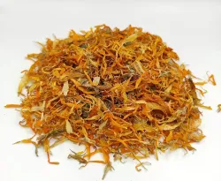 Souci (Calendula officinalis L.) - fleurs TT