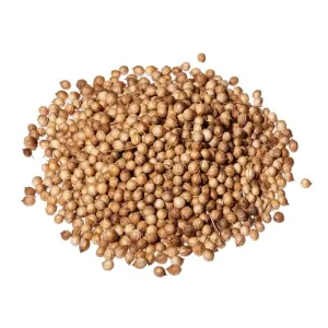 Coriander (Coriandrum sativum L.) - Seeds 1st quality