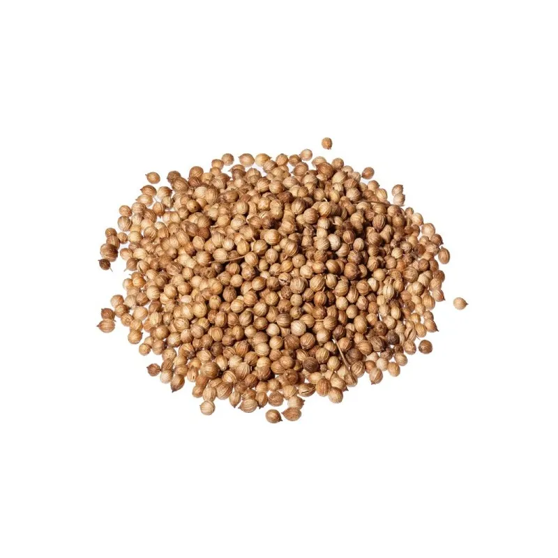 Coriander (Coriandrum sativum L.) - Seeds 1st quality