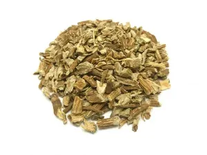 Echinacea (Echinacea purpurea (L.) Moench) - root