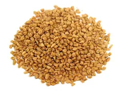 Fenugreek (Trigonella foenum-graecum L.) - seeds