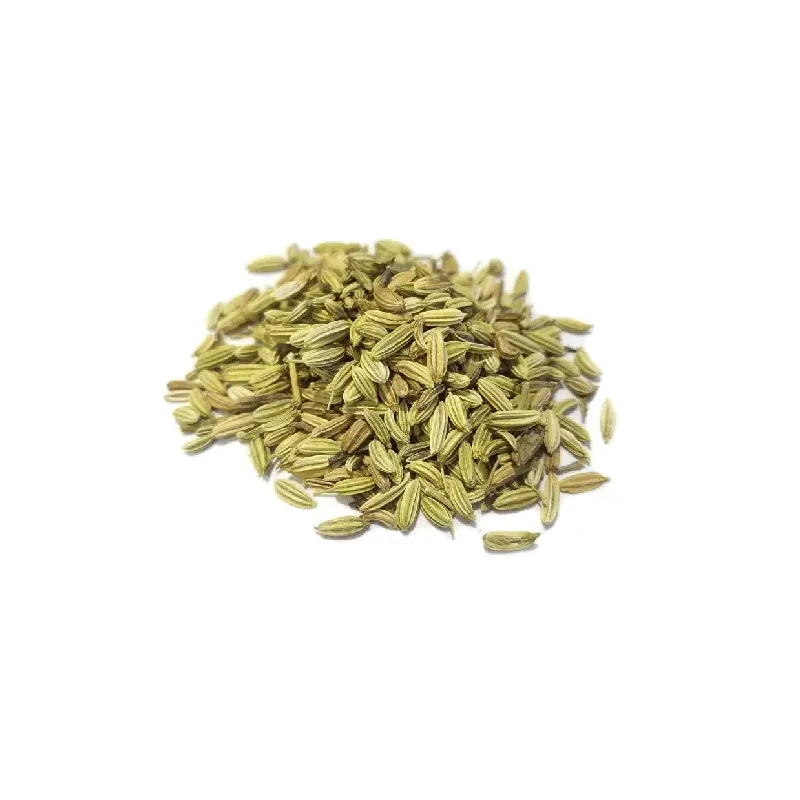 Fennel (Foeniculum vulgare Mill.) - fruits