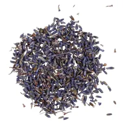 Lavender (Lavandula angustifolia Mill.) - flowers 1st Q selected