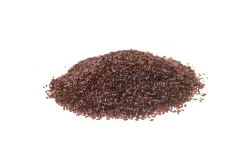 Psillio (Plantago psyllium L.) - semi