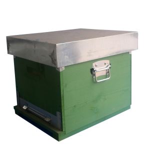 Dadant kubik beehive 10 honeycomb with fixed anti varroa bottom