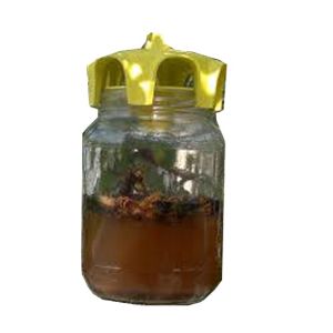 Vaso trap giallo tappo trappola per insetti da montare su vasi tipo miele da 1 kg  (conf. 2 pz.)