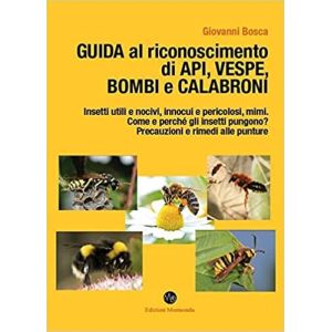 Guida al riconoscimento di api, vespe, bombi e calabroni