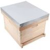 LANGSTROTH HIVE 10 HONEYCOMB FIXED BOTTOM (NEST ONLY)