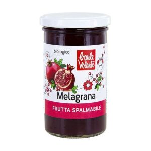 Fruit spread - pomegranate - flying trunk organic