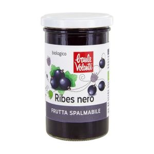 Fruit spread - blackcurrant - flying trunk organic