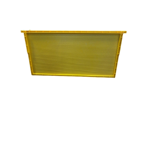 LANGSTROTH HIVE 10 HONEYCOMB With SUPER and FRAMES