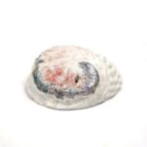 Abalone-Schale 15/16 cm