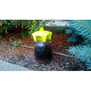 Vaso trap giallo tappo trappola per insetti da montare su vasi tipo miele da 1 kg  (conf. 2 pz.)