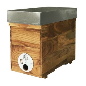 Beehives d.b. 6 honeycomb wood kerosene cheap