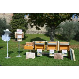 Dadant 10-frame educational beehive frames photo kit