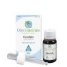 Eucalyptus essential oil 10 ml