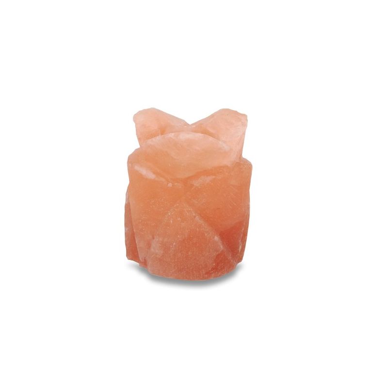 Himalayan salt "flower" lamp holder